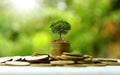 Money saving ideas. Trees grow on coins.