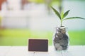 Money saving and investment financial concept. Plant growing in savings coins with blank screen small billboard on wooden table.