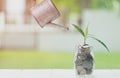 Money saving and investment financial, Savings and making money concept. Plant growing in savings coins in jar on wooden table. Royalty Free Stock Photo