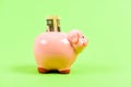 Money saving. Money budget planning. Financial wellbeing. Economics and finance. Piggy bank pink pig stuffed dollar