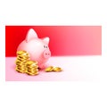 Money Saving In Piggy Bank Protect Banner Vector