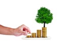 Money saving. smart phone with a tree growing on a coin step increase on white background. Royalty Free Stock Photo