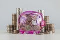 Money savings, business growth or financial concept. A pink piggy bank and stack of coins on white background Royalty Free Stock Photo