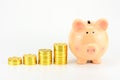 Money savings concept, golden coins stack and piggy bank Royalty Free Stock Photo