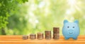 Stacked silver coins and blue piggy bank on wooden table with blurry green natural and sunlight in background. Royalty Free Stock Photo