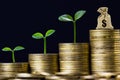 Money savings, investment, making money for future, financial wealth management concept. A plant growing on rising stacked coins Royalty Free Stock Photo