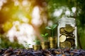 Money savings, investment, making money for future, financial wealth management concept. A coins in glass jar and step of growing Royalty Free Stock Photo