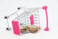 Money in shopping cart. Royalty Free Stock Photo