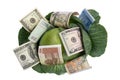 Money situated on green cabbage on white