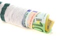 Money sock Royalty Free Stock Photo