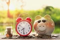 money stack with red alarm clock and piggy bank on wood background