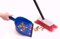 Money sweeps up in a dustpan Royalty Free Stock Photo