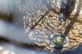 Money thrown into a well in the center of Nysa for luck.