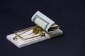 Money Trap On Black Background Royalty Free Stock Photo