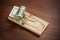 Money Mouse Trap Business Finance Speculative