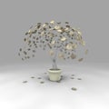 Money tree