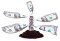 Money tree Royalty Free Stock Photo