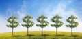 Money tree Royalty Free Stock Photo