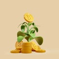 Money tree with bitcoin on beige background