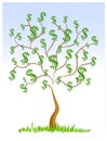 Money Tree Cash Dollar Signs Royalty Free Stock Photo