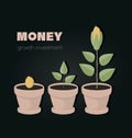 Money tree with coins growing. Coins flowers potted.
