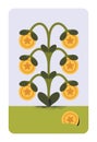 Money tree with coins and leaf growing. Financial wealth, income growth concept. Revenue, salary saving, budget, fund