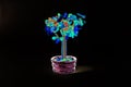 Money tree on a dark background. Royalty Free Stock Photo