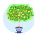 Money tree with dollar bills and gold coins. Metaphor for the growth of profit and wealth. Vector illustration on white background Royalty Free Stock Photo