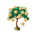 Money tree with dollar coins on a white isolated background. The concept of growth, wealth, Deposit. Royalty Free Stock Photo