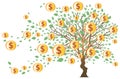 Money Tree with Dollars Royalty Free Stock Photo