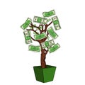 Money tree with 100 dollars. Currency on the plant. Business is growing. Object on white background raster Royalty Free Stock Photo