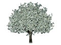 Money tree with dollars instead of leaves on a white background. The concept of financial growth, passive income, dividends Royalty Free Stock Photo