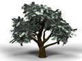 Money tree euro Royalty Free Stock Photo