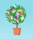 Money tree with euro banknotes growing Royalty Free Stock Photo