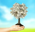 Money Royalty Free Stock Photo