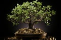 Money tree flourishes in nature\'s soil, powered by business success