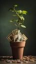 Money tree in a flower pot with banknotes as leaves showcasing the concept of financial growth and passive income, dividends Royalty Free Stock Photo