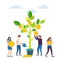 Money tree in flower pot, the concept of income growth Royalty Free Stock Photo