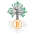 money tree grow on bitcoin cpu mines chip Royalty Free Stock Photo