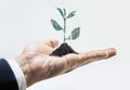 Money tree growing on hand.business financial and investment Royalty Free Stock Photo