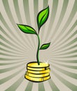 Money tree growth, business investment concept, vector illustration Royalty Free Stock Photo