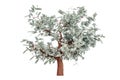 Money tree with hundred dollar bills, 3D rendering Royalty Free Stock Photo