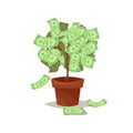 Money tree icon flat Isolated on background. Royalty Free Stock Photo