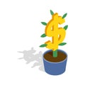 Money tree icon, isometric 3d style Royalty Free Stock Photo