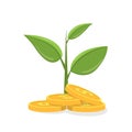 Money tree icon. Vector flat illustration isolated on white background. Royalty Free Stock Photo