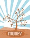 The money tree