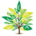 Money tree with leaves in euro, business concept Royalty Free Stock Photo