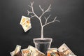 Money tree made by us dollar bills. Business, saving, growth, economic concept. Investors strategy, funding symbol. Copy Royalty Free Stock Photo