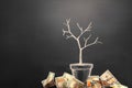 Money tree made by us dollar bills. Business, saving, growth, economic concept. Investors strategy, funding symbol. Copy Royalty Free Stock Photo