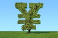 Money tree in the shape of yen or yuan symbol on the green grass Royalty Free Stock Photo